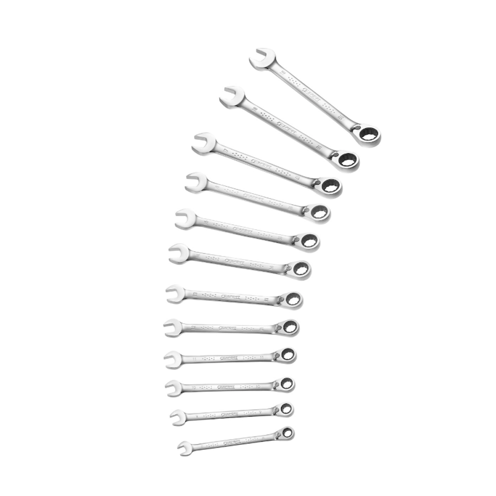 Expert by Facom E111106 12 Piece Metric Ratcheting Combination Spanner Wrench Set 8-19mm - Image 2