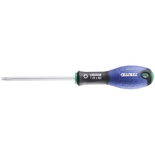 Expert by Facom E160508 Torx Screwdriver - T25 x 100