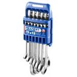 Expert by Facom E111106 12 Piece Metric Ratcheting Combination Spanner Wrench Set 8-19mm