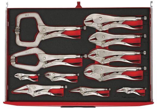Teng TTEVG11 11 Piece Power Grip Pliers Set In Foam Module
