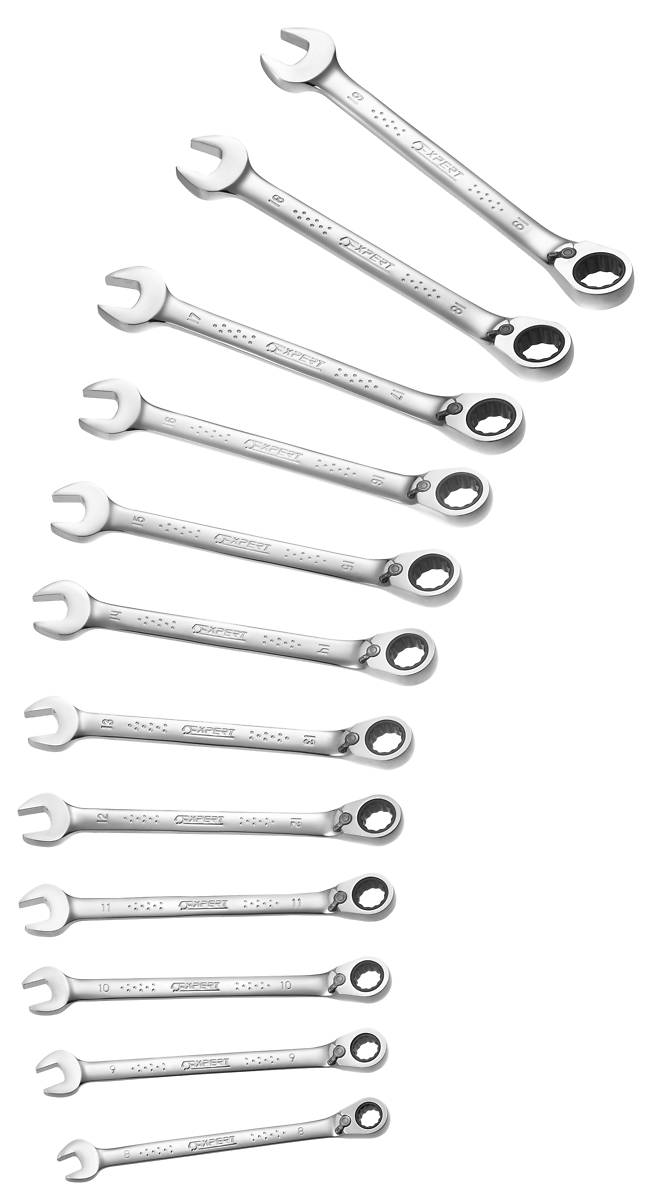 Expert by Facom E111106 12 Piece Metric Ratcheting Combination Spanner  Wrench Set 8-19mm