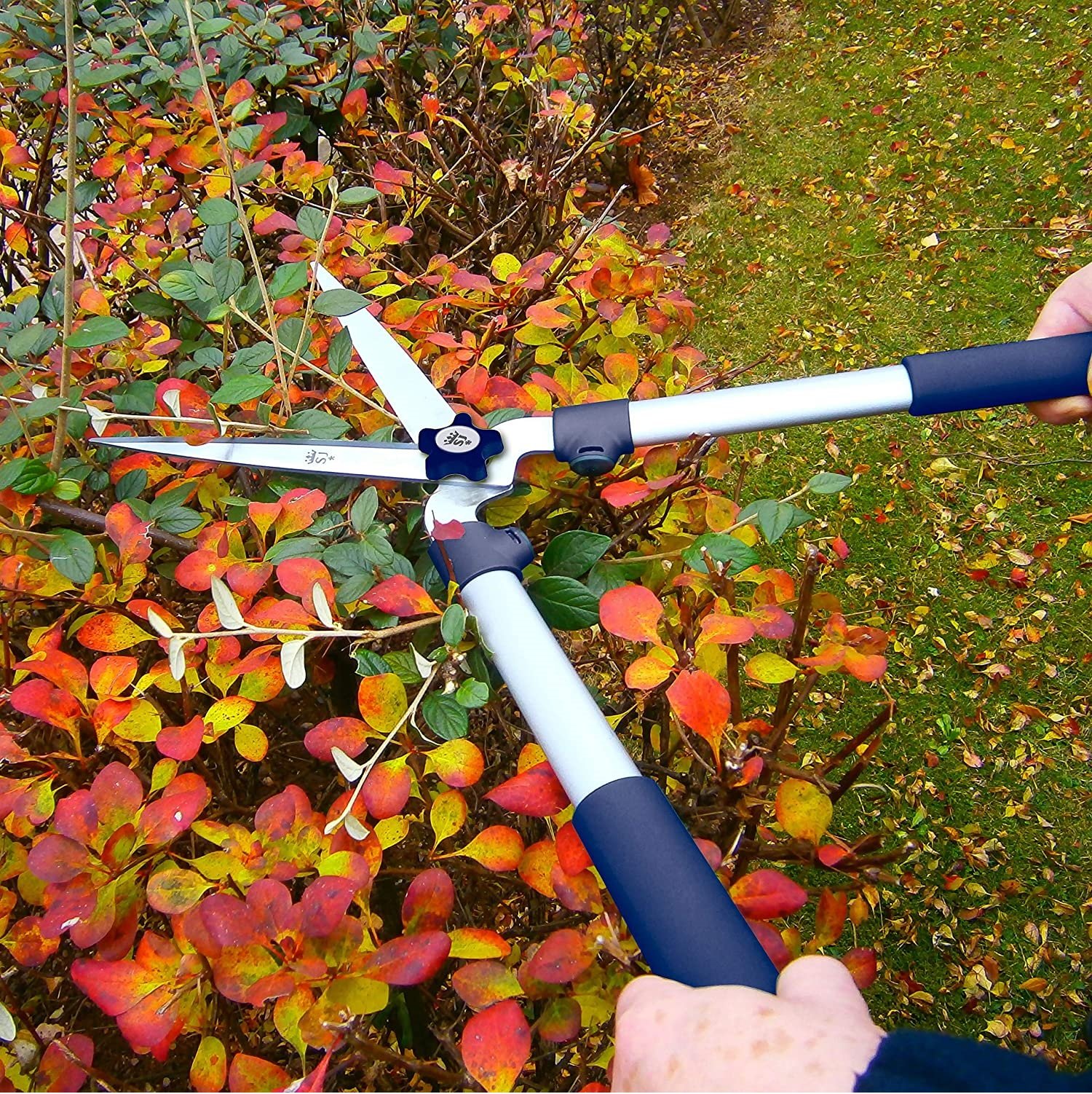 Spear & Jackson 8150RS 8″ Straight Blade Hedge Shears PrimeTools
