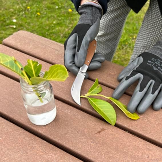 Spear & Jackson 4151HH Coltello Hori Hori/Strumento Multiuso Utensile Versatile In Acciaio Inox Con Fodero E Passante Per Cintura, Lama Seghettata E Liscia, Indicatori Di Profondità - Foto 8